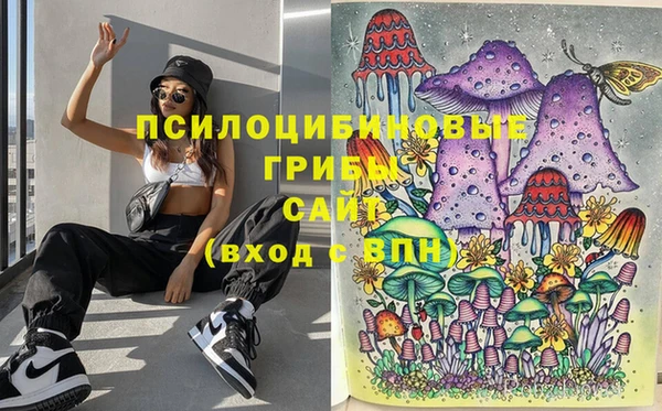 PSILOCYBIN Арсеньев